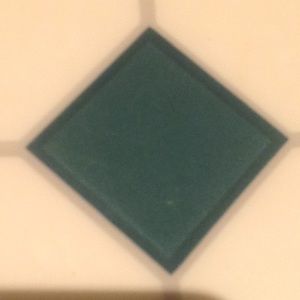 Meet your Posher, Max